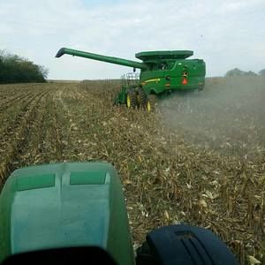 Meet your Posher, Jaice